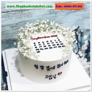 Bánh Sinh Nhật Cuốn Lịch - CL147